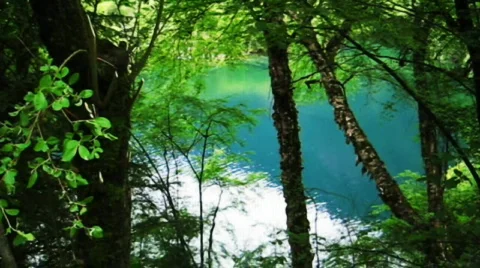 Jiuzhaigou Stock Footage 766997