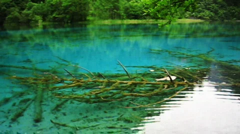 Jiuzhaigou Stock Footage 767023