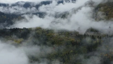Jiuzhaigou Mountain Peak in Clouds 4K | Autumn Forest Aerial Drone Vidéo 325349837