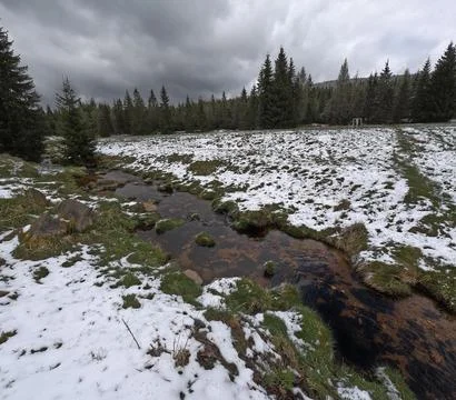Jizera River in the Jizera Mountains, the border of Poland and the Czech Re.. Stock Photos