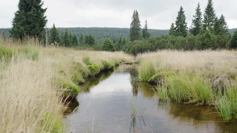 Jizerka Stock Footage 207818591