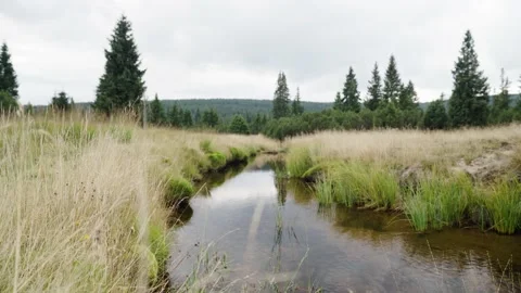 Jizerka Stock Footage 207818678