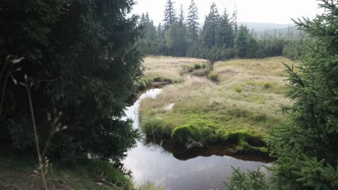 Jizerka Stock Footage 207818980