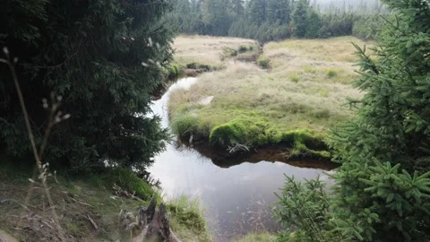 Jizerka Stock Footage 207819301