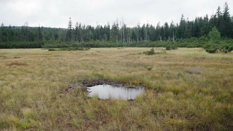 Jizerka Stock Footage 207819353