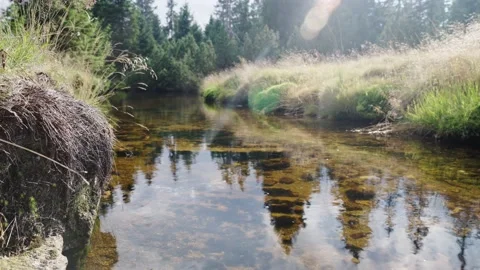 Jizerka Stock Footage 207819532