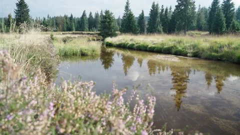 Jizerka Stock Footage 207819744