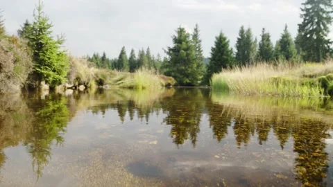 Jizerka Stock Footage 207819895