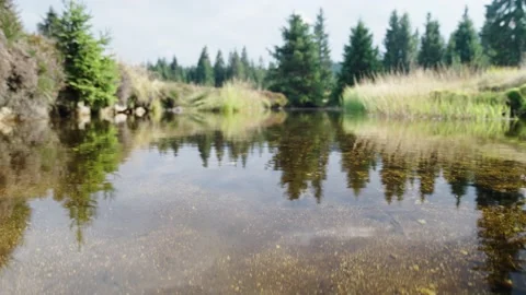 Jizerka Stock Footage 207819907