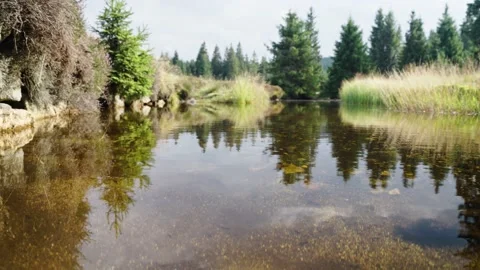 Jizerka Stock Footage 207819908