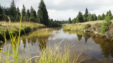 Jizerka Stock Footage 207819955