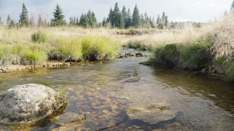 Jizerka Stock Footage 207820461