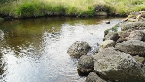 Jizerka Stock Footage 207820618