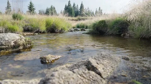 Jizerka Stock Footage 207820709