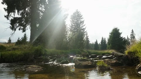 Jizerka Stock Footage 207821324