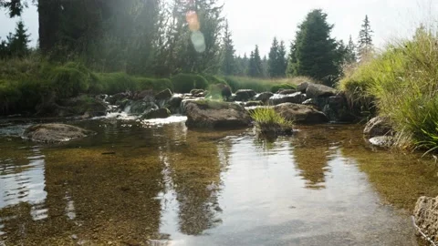 Jizerka Stock Footage 207821338