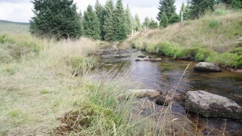 Jizerka Stock Footage 207821886