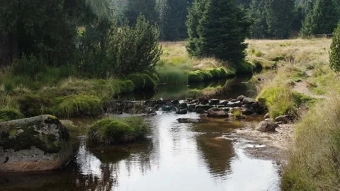 Jizerka Stock Footage 207822066