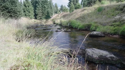 Jizerka Stock Footage 207822112