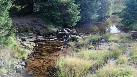 Jizerka Stock Footage 207823186