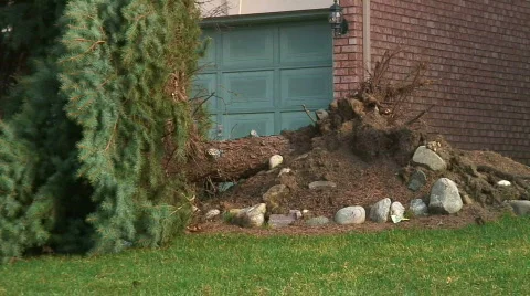 Jm121-Tree Wreckage Stock Footage 70530