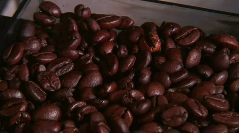 Jm133-Cafe Beans 스톡 동영상 70876