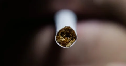 Jm1450 Macro Closeup Smoking Cigarette Tip Light Stock-Footage 44311901