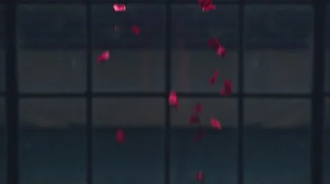 Jm1547 Red Rose Pedals Falling In Front Of Window Slowmo 96fps Video stock 47289309