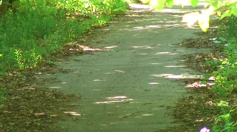 Jm283-Nature Path2 스톡 동영상 121126