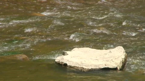 Jm296-Water Rock Platform 動画素材 121145