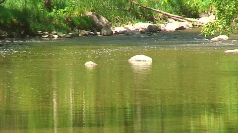 Jm297-Rouge River2 Stockbeeldmateriaal 121147