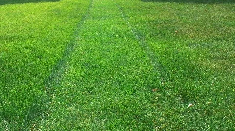 Jm320-Lawn Mower2 Stock Footage 124611