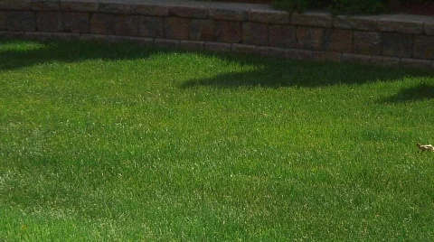 Jm321-Side Mower Stock Footage 124614