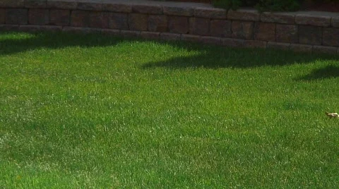 Jm322-Fast Mower Video stock 124616