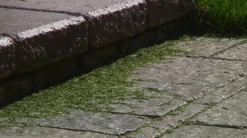 Jm324-Grass Sweep Stockbeeldmateriaal 124620