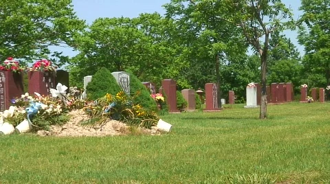 Jm447-Graves Video stock 129708