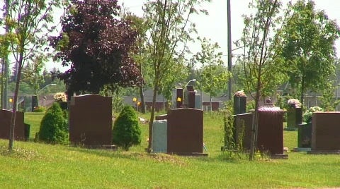 Jm449-Graves3 Video stock 129736