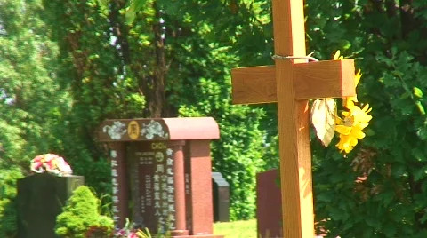 Jm450-Cross Video stock 129779