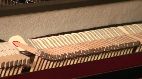Jm491-Inside Piano2 Stock Footage