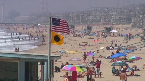 Jm726-Beach Flag Video stock 151656