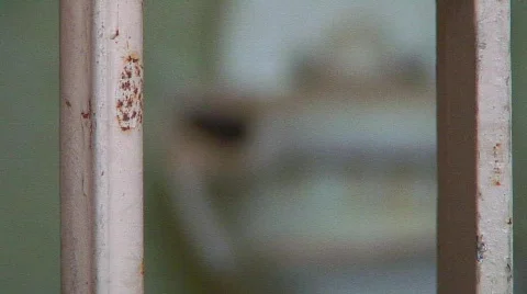 Jm761-Prison Cell Full2 Video stock 153154