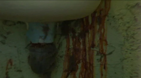 Jm770-Cell Grime Video stock 153215