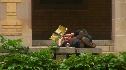 Jm782-Bench Reading Vídeos de archivo 447477