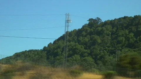 Jm926-Morphing Trees 스톡 동영상 665314