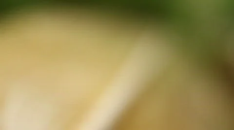Jm988-Canoe2 Video stock 740556