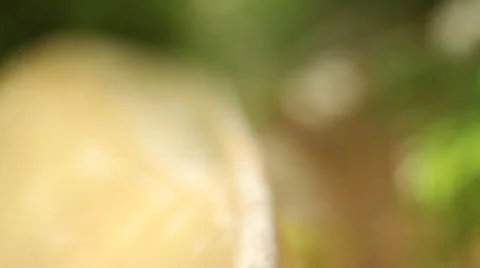 Jm989-Canoe3 Video stock 740600