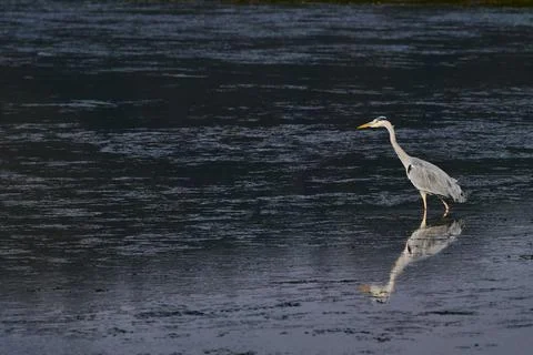 JMA6353 Stock Photos