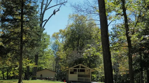 Job Corp Tree Work at Mammoth Cave National Park Video stock 58565253
