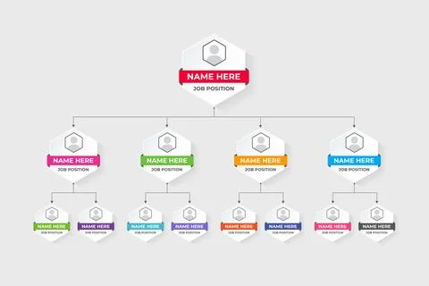 Job position classification graph chart design with colorful hexagon shapes.. Stock Illustration