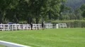 Jockeys and their racing horses enter the race course HD Footage